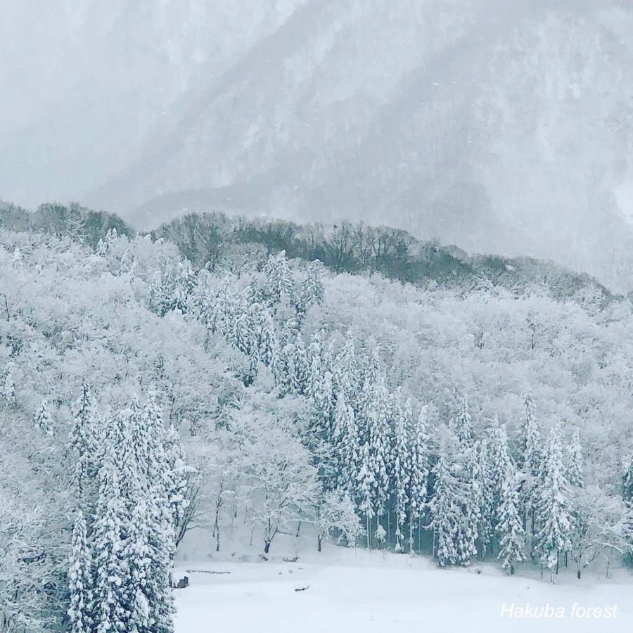 The Guest House Japan Hakuba Exterior photo