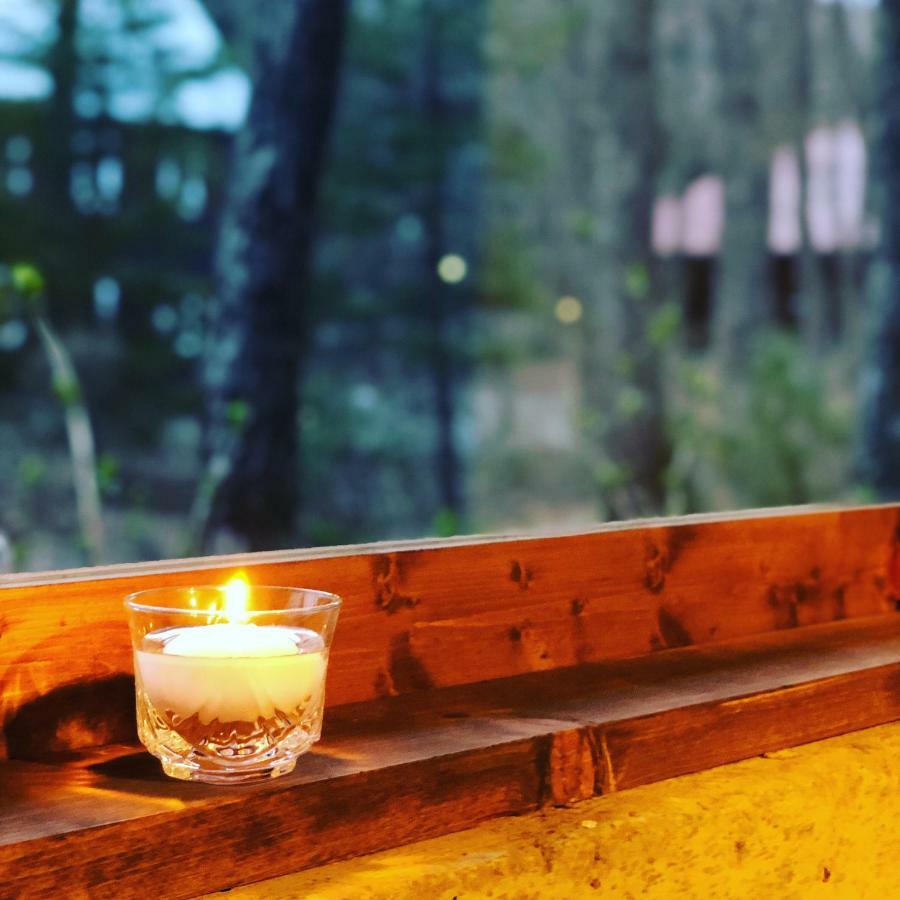The Guest House Japan Hakuba Exterior photo